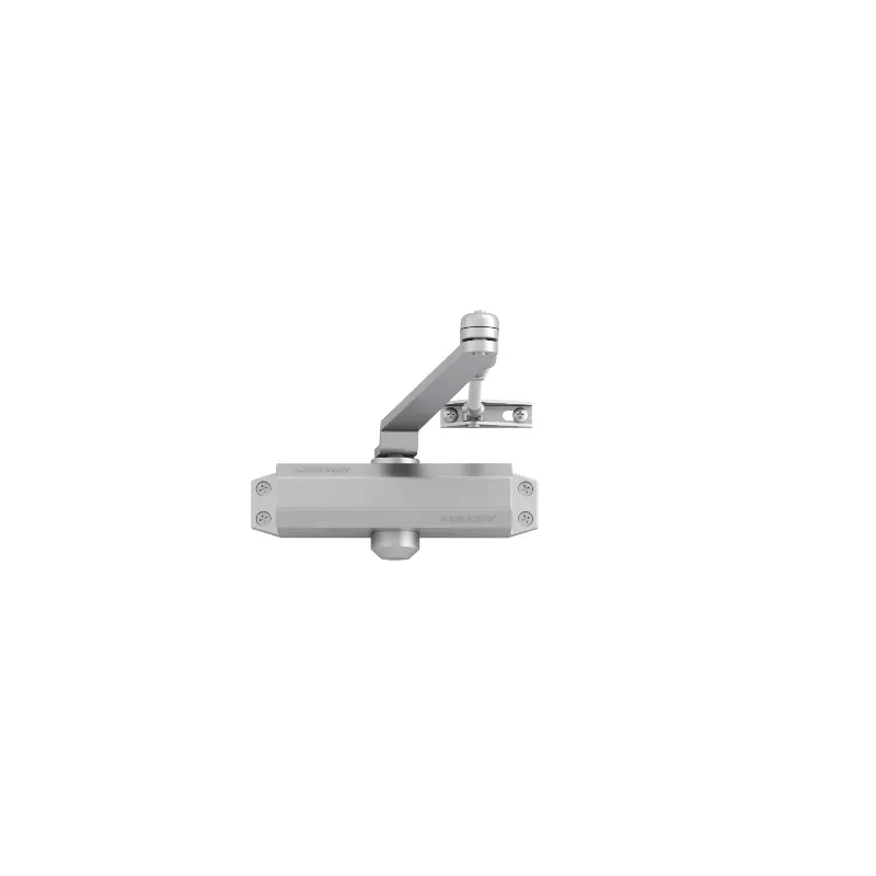 Cierrapuertas de sobreponer DC110 EN3 plata ASSA ABLOY DC110------EV1-